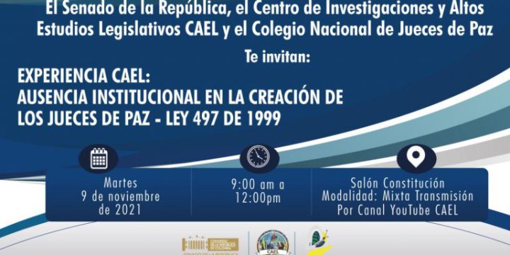 XXX EXPERIENCIA CAEL. AUSENCIA INSTITUCIONAL EN LA CREACIÓN DE LOS JUECES DE PAZ – LEY 497/1999.