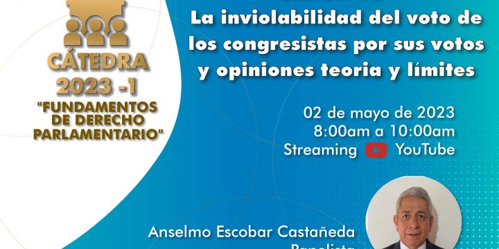 VIlI CÁTEDRA CAEL – FUNDAMENTOS DE DERECHO PARLAMENTARIO -CONFERENCIAS MAGISTRALES SESIÓN IlI